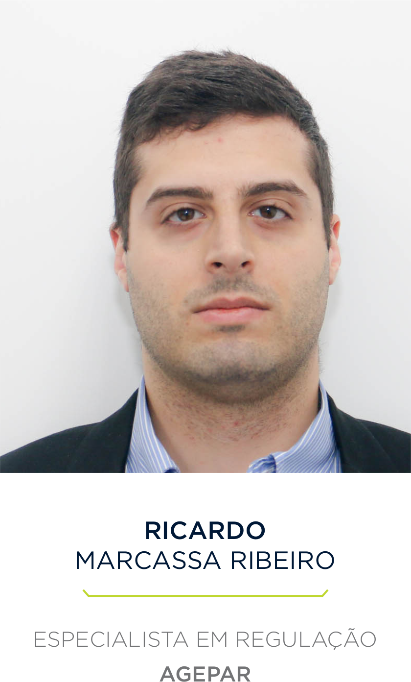 Ricardo Marcassa Ribeiro