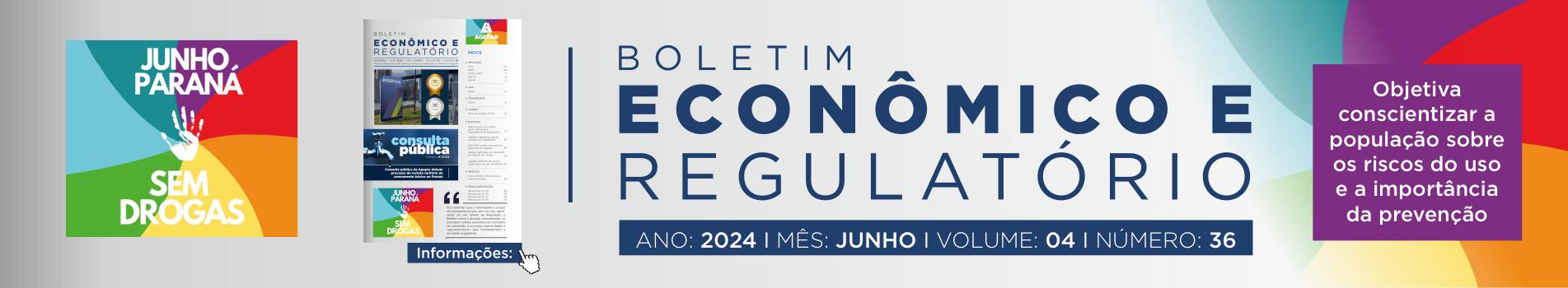 Boletim Econômico e Regulatório Número 36 - junho 2024